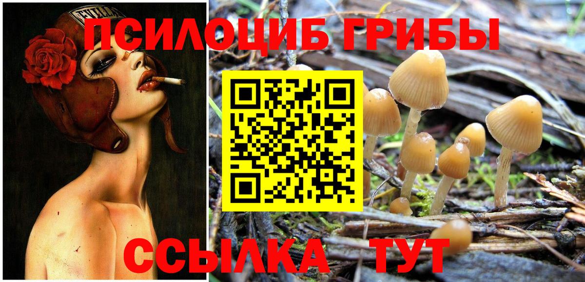 Галлюциногенные грибы мицелий  Вход с VPN  Армавир 